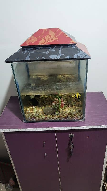 Fish Aquarium 0