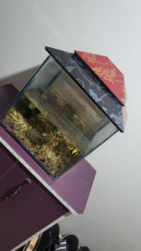 Fish Aquarium 1