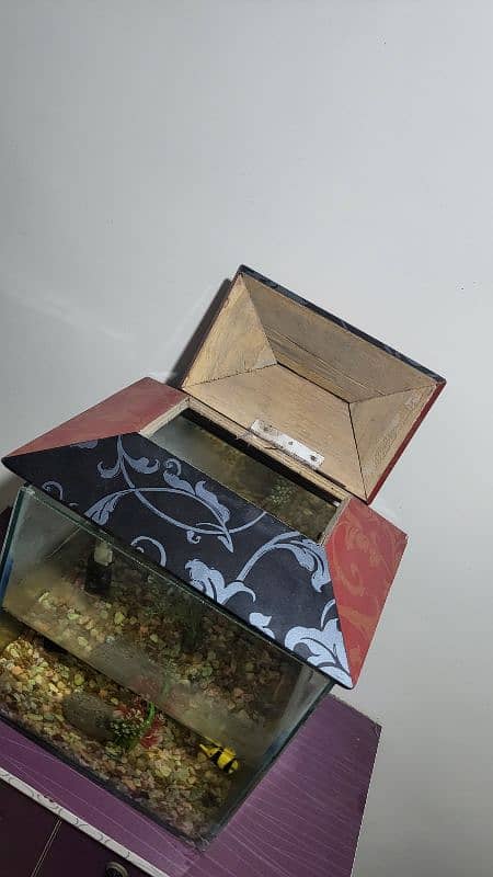 Fish Aquarium 2