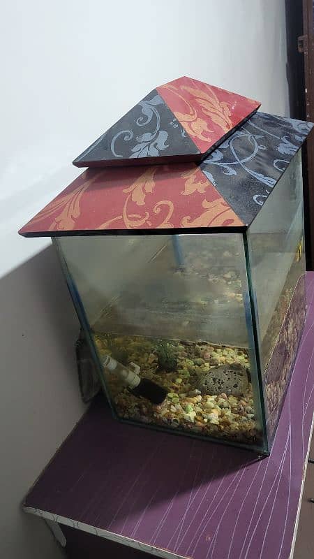 Fish Aquarium 3