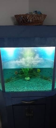 Aquarium
