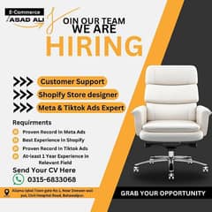 Shopify store developer, Meta Ads.