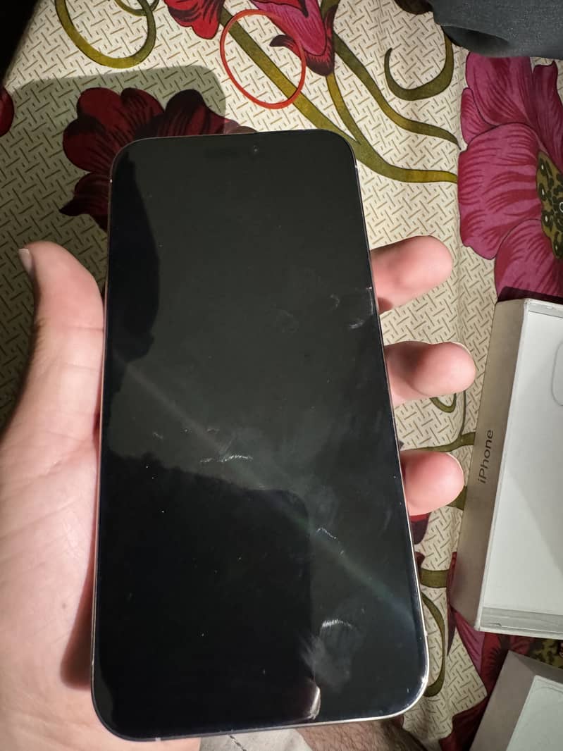15promax 256gb dual physical 5