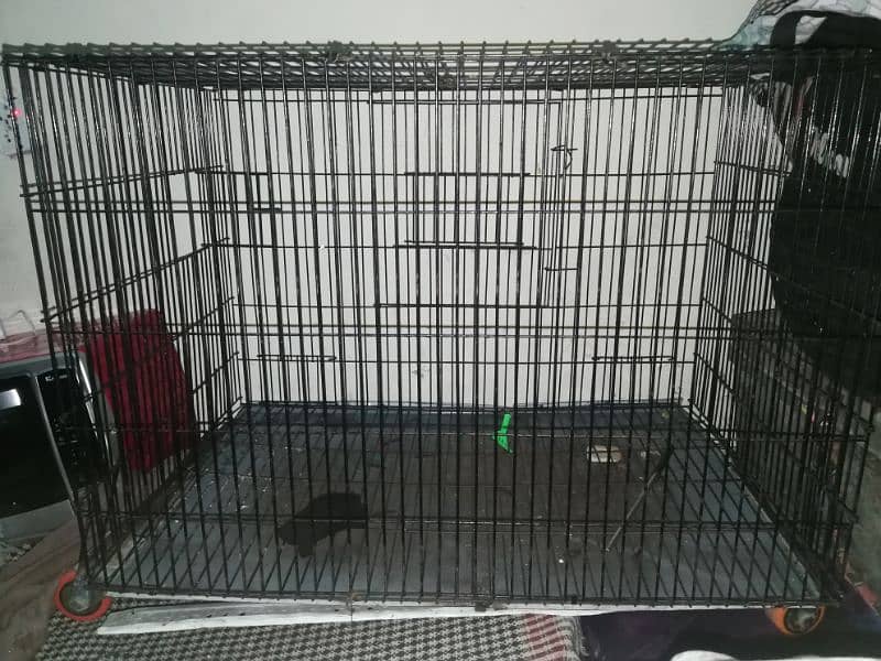 metal cages large & medium  size. hens, parrot cage 0