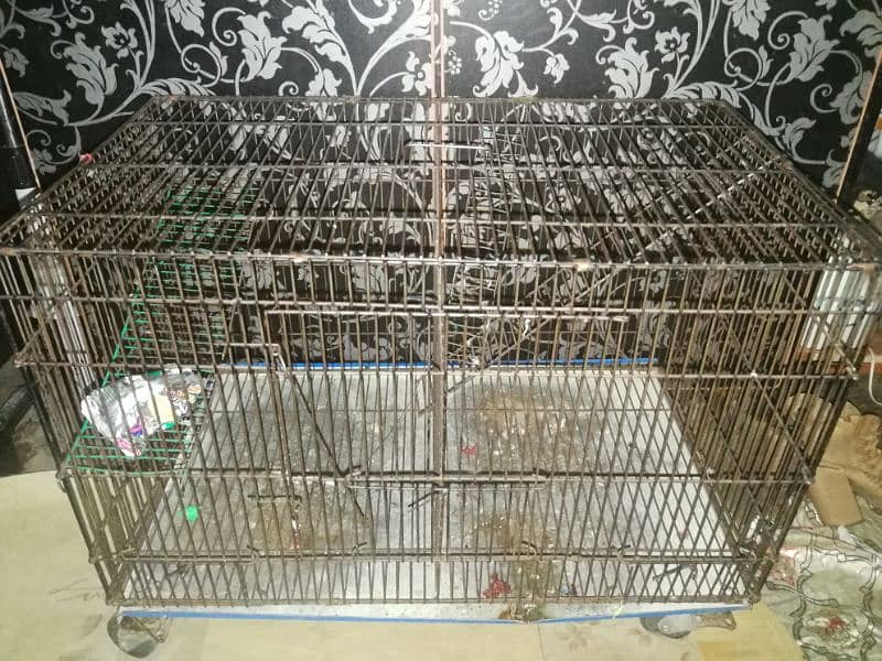 metal cages large & medium  size. hens, parrot cage 1