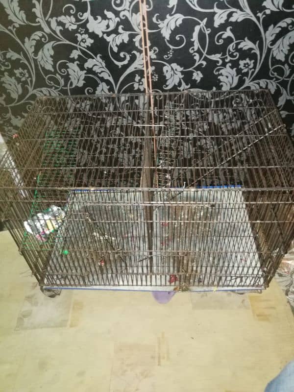 metal cages large & medium  size. hens, parrot cage 3