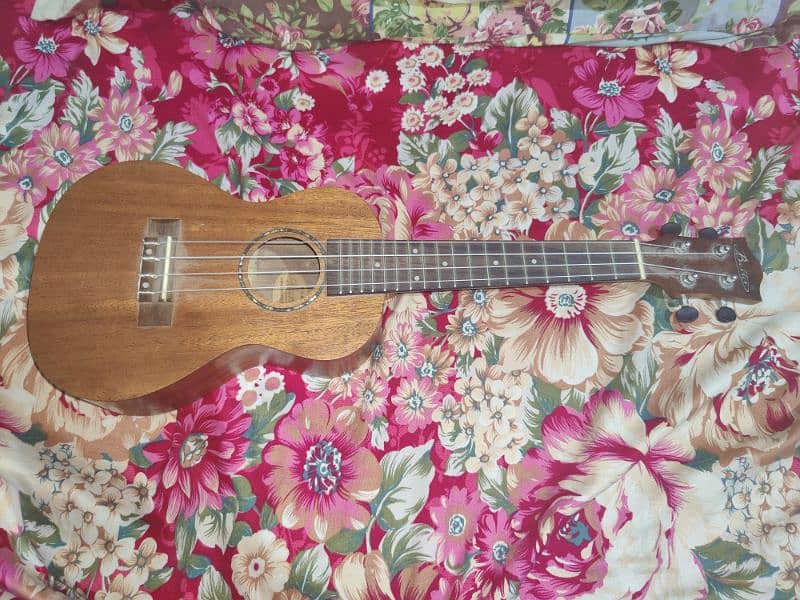 guiter/ukuleles 0