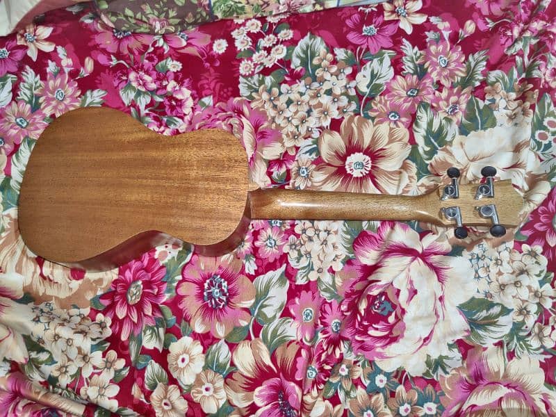 guiter/ukuleles 1