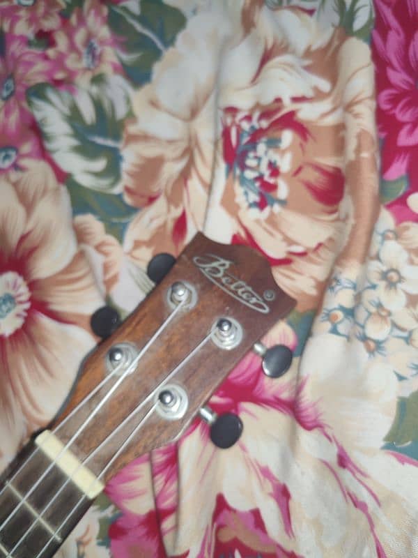 guiter/ukuleles 2