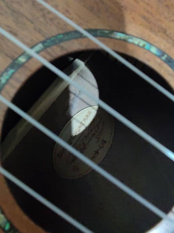 guiter/ukuleles 4