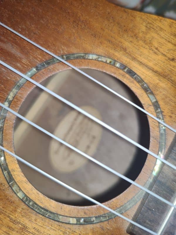 guiter/ukuleles 5