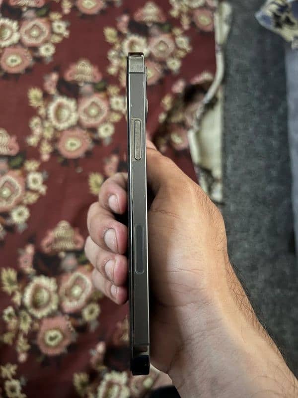12 pro 4