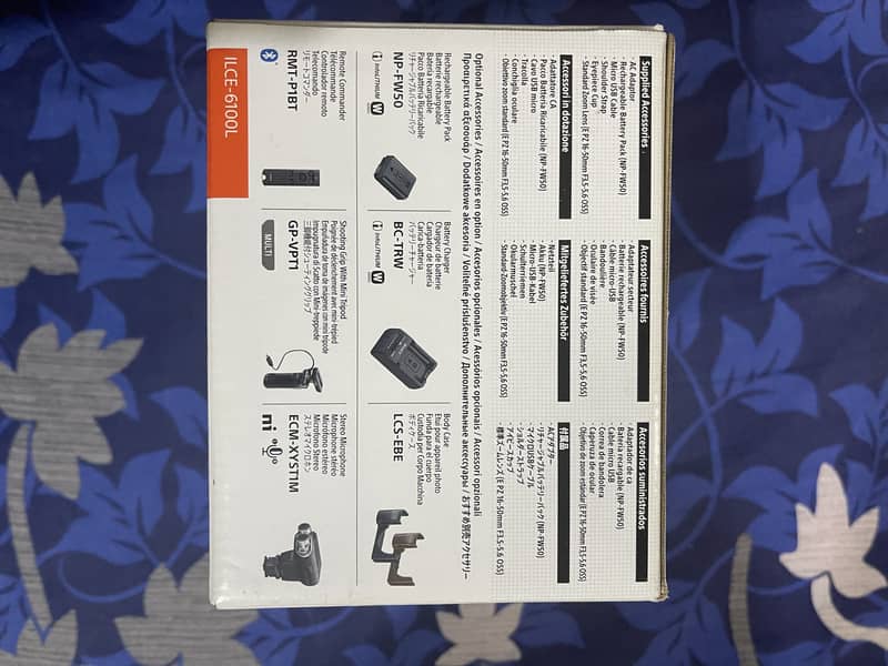 Sony Alpha 6100 Mirrorless Camera (Brand New) 2