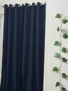 curtains