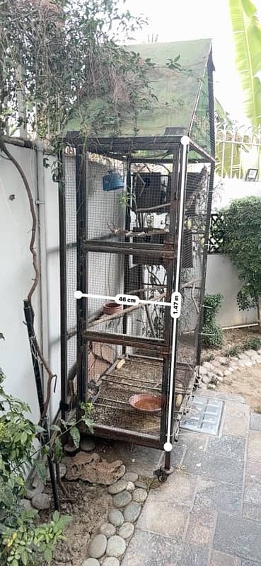 Biirds Cage For Sale 2
