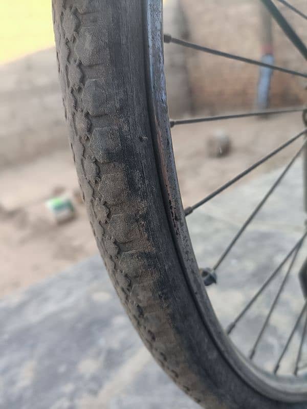 bicycle for sel 2