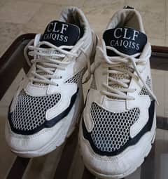 CLF