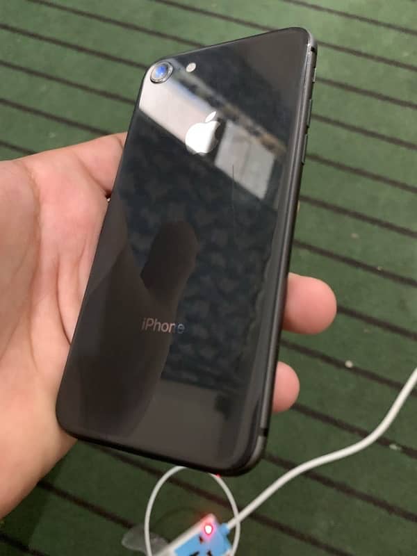 i phone 8 0