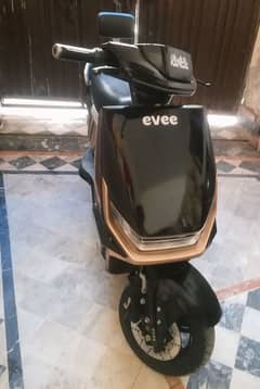 evee