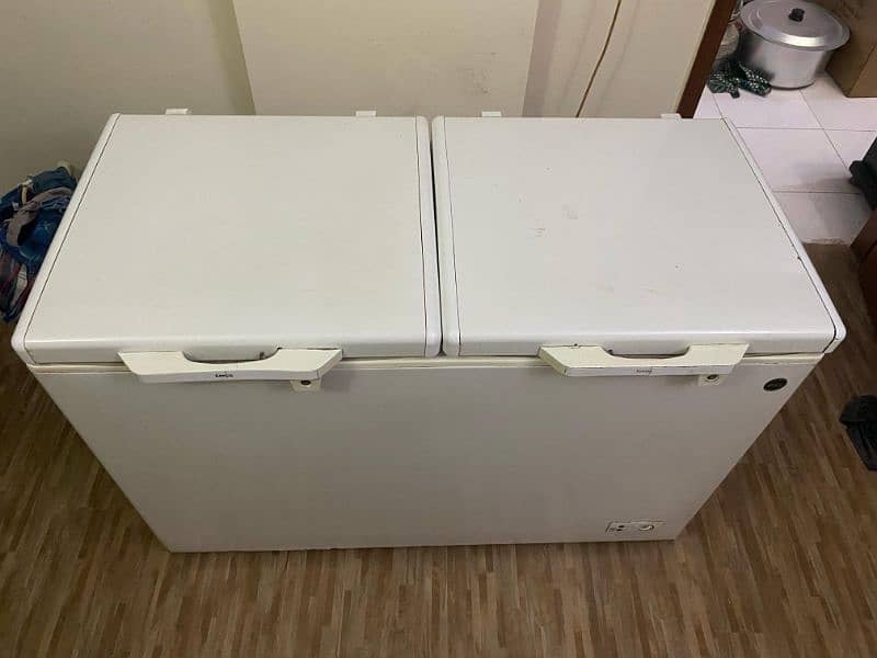 PEL 2-Door Full size Deepfreezer - Read description 0