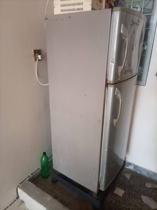 fridge 2