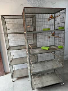 Iron cage | Bird cage | Parrot cage | Big cage | Pinjra