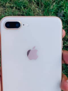 8plus