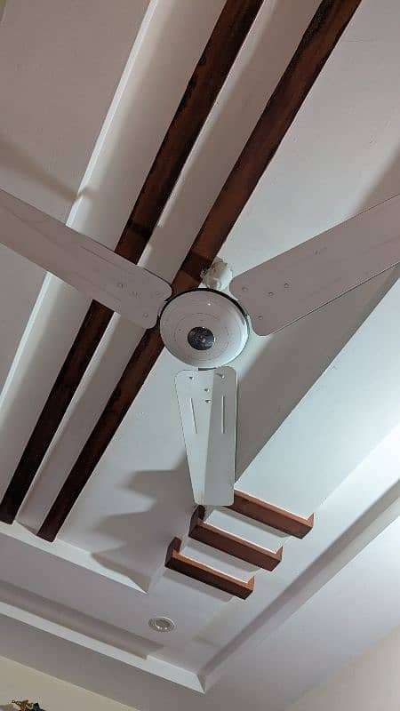 Ceiling PakFan For Sale 0