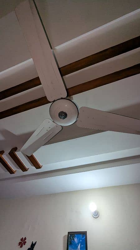 Ceiling PakFan For Sale 1