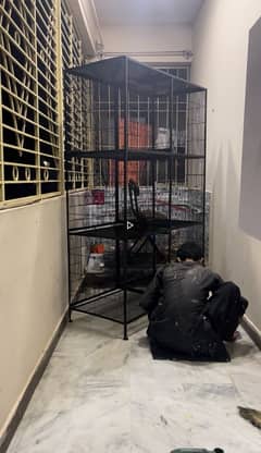 Heavy Cage / Custome size