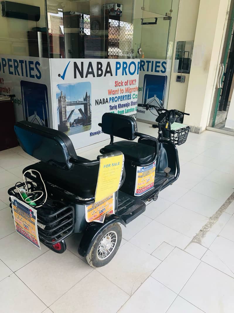 Electric Golf Cart Tricycle JMS 1500 3
