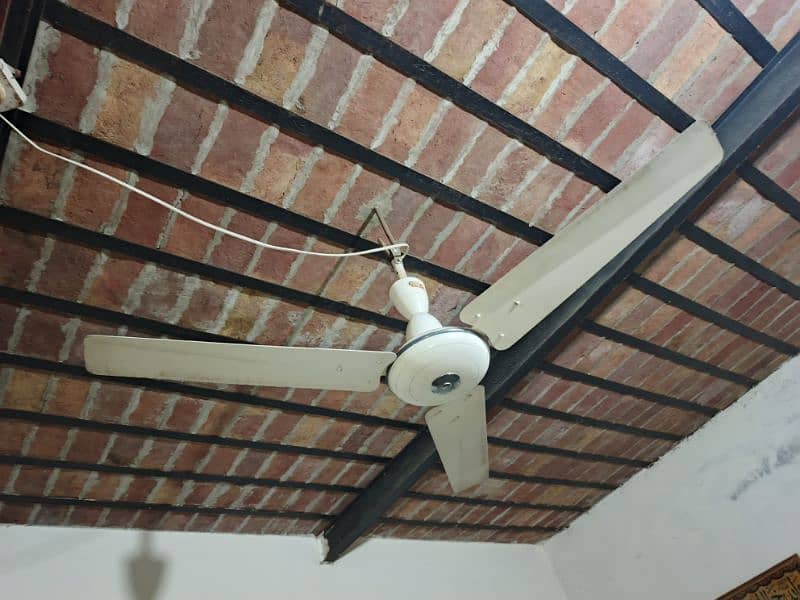 GFC fan, Full size (Good Condition) 1