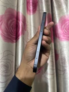 Iphone 12 (100 health)