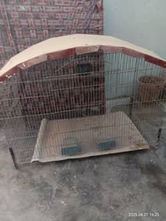 BIRDS