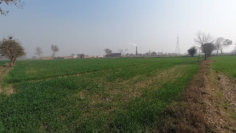 100 Kanal Agricultural Land Near Multan Road 7