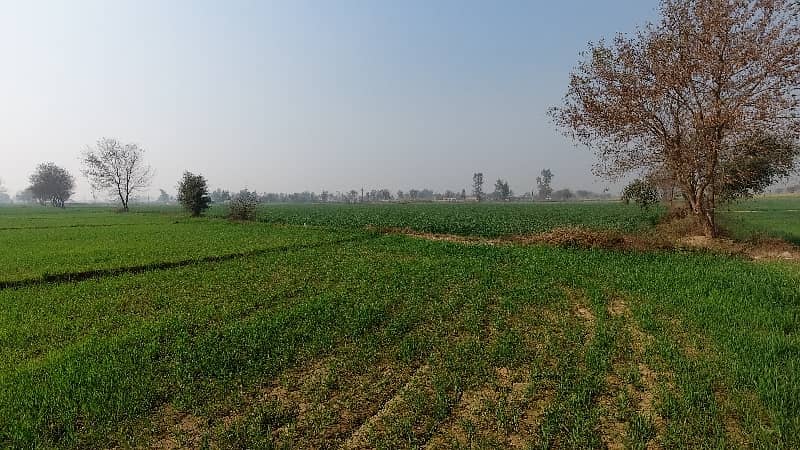 100 Kanal Agricultural Land Near Multan Road 9