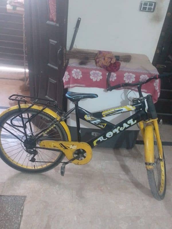 24 inch bicycle 2