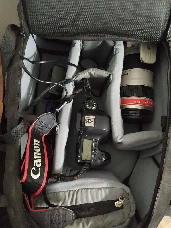 Canon 6d full frame 0