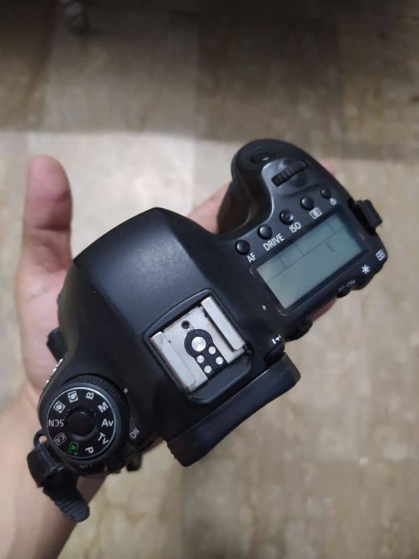 Canon 6d full frame 4