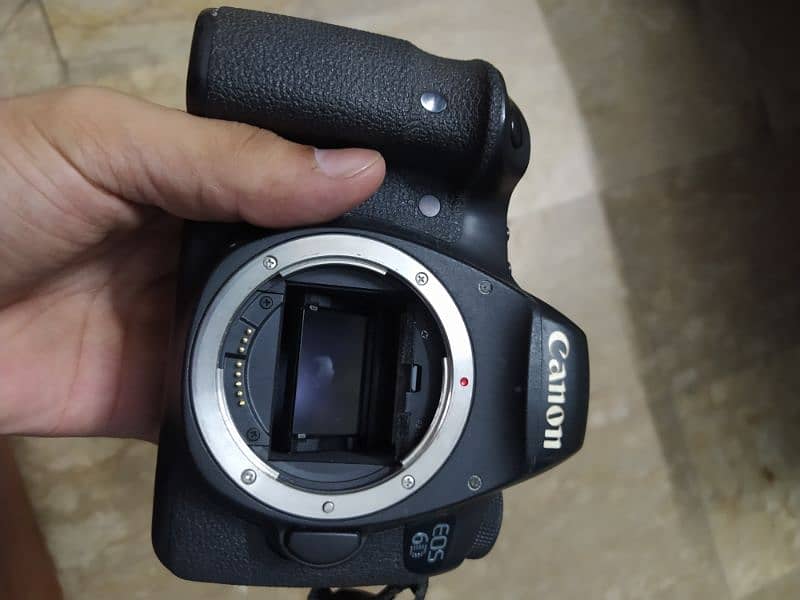 Canon 6d full frame 5