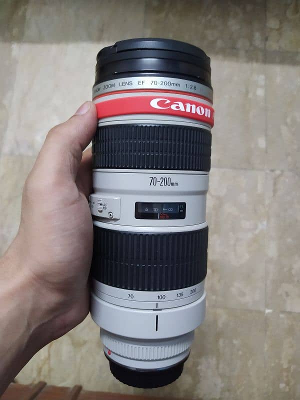 Canon 6d full frame 8