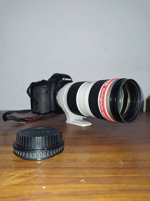 Canon 6d full frame 11
