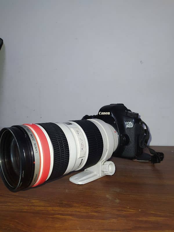 Canon 6d full frame 12