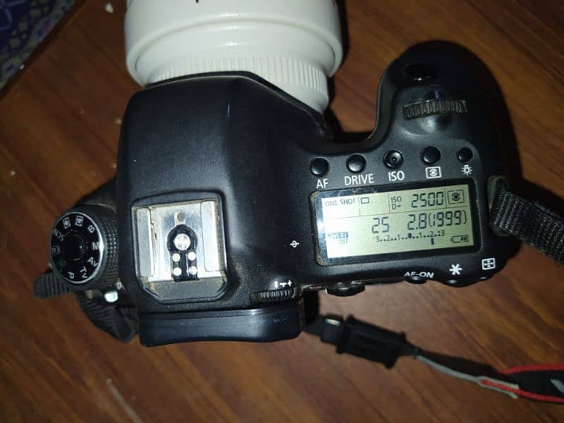 Canon 6d full frame 13