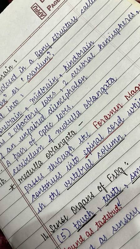 Content writing 5