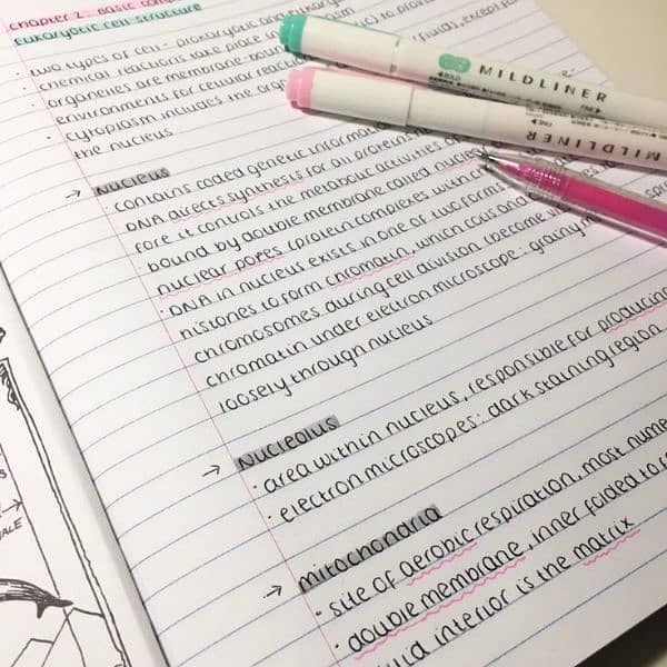 Content writing 14