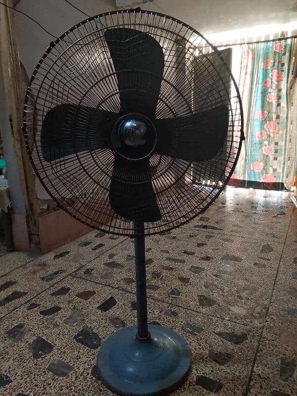 adil fan 0