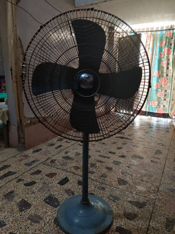 adil fan 1