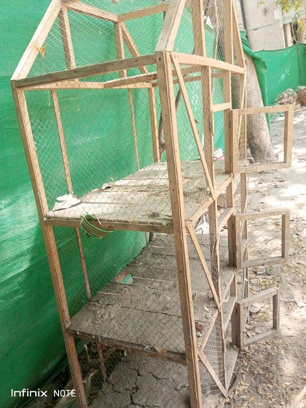 Silver Sebright for Sale Cage  3portion wood   Incubator 250 to 300egg 2