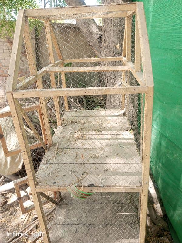 Silver Sebright for Sale Cage  3portion wood   Incubator 250 to 300egg 4